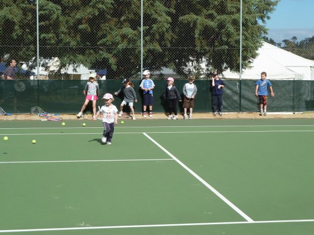 P1000680 [1600x1200]